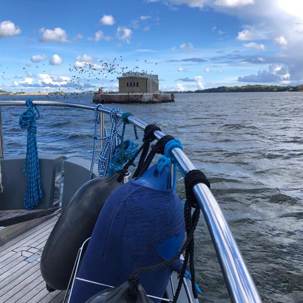 Gallery Item 1 copy copy copy