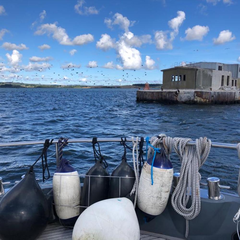 Gallery Item 1 copy copy copy